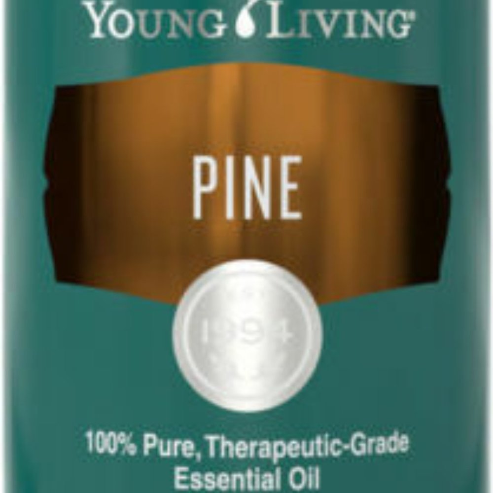 Young Living Pine 5ml